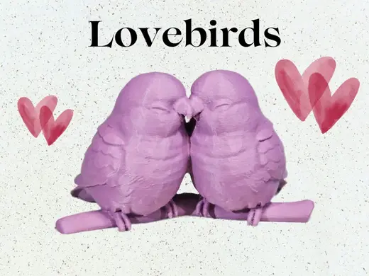 Cute Lovebirds Kissing | Valentine's Model