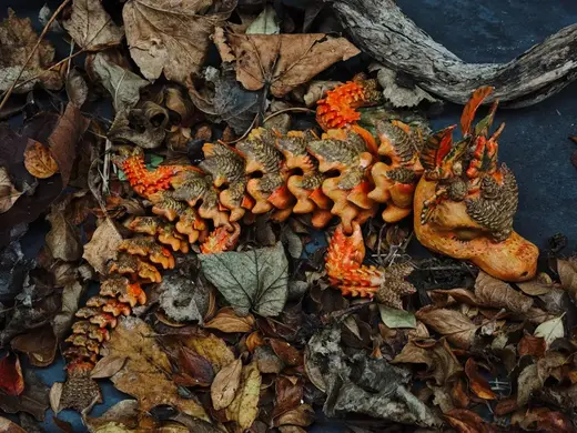 Articulated Autumns Dragon - By Vixvvo3D