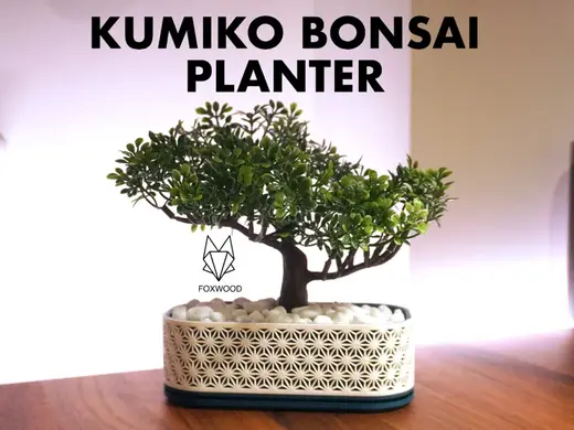 Kumiko Bonsai Planter - With Drip Tray - Foxwood