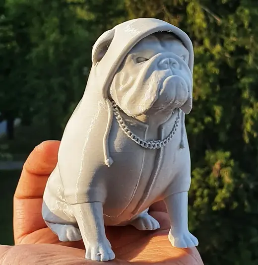 BIG POPPA - English bulldog