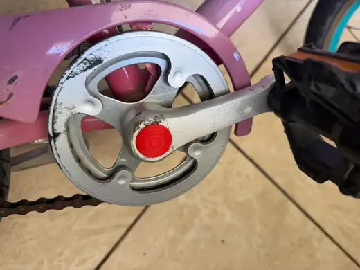Guardian Bicycle Crank Bolt Cover