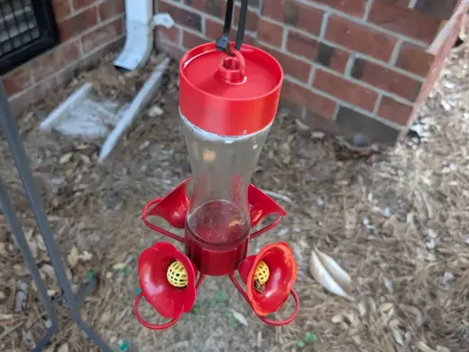 Humming Bird Feeder Top