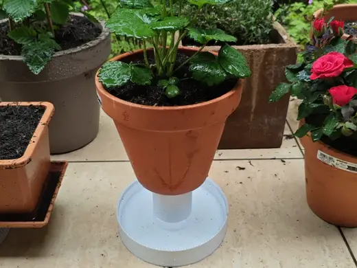 Slug Moat - Protect your plants! Parametric
