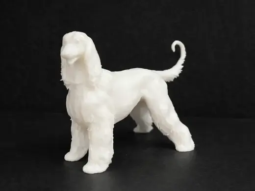 Afghan Hound - Dog - Animal
