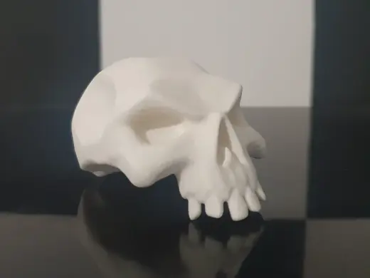 Sea of Thieves Skull