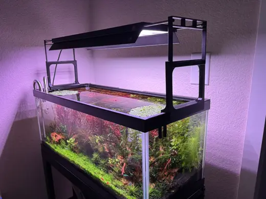 Aquarium Light Riser for 20 Gallon Long