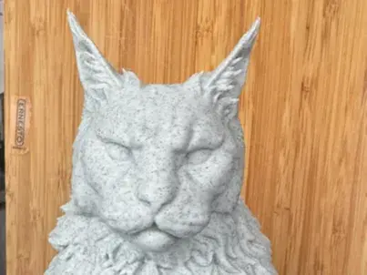 Burst Maine Coon Loki