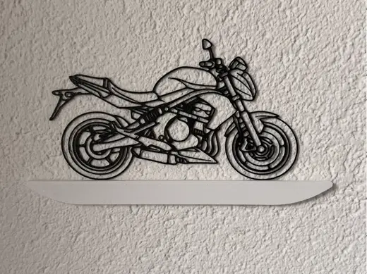 Kawasaki ER6N motorcycle wallart