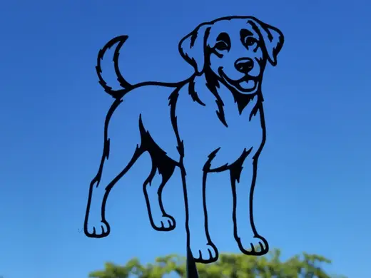 Labrador Retriever Wall Art