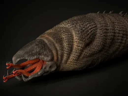 Tremor Graboid Worm - 3D Model Movie Replica