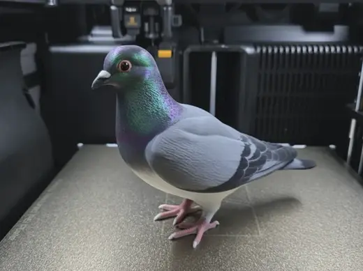 Pigeon / Dove - Highly Detailed Split Model