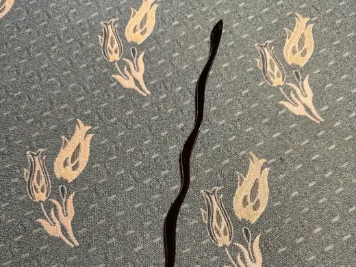 SILLY SIMPLE CAT TOY