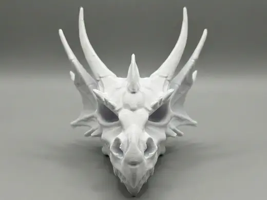 Mythical Dragon Head - Detailed Fantasy Print