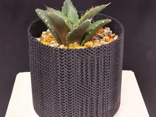 Agave plant pot / z003-90
