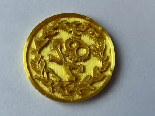 Jake and pirates gold doubloon