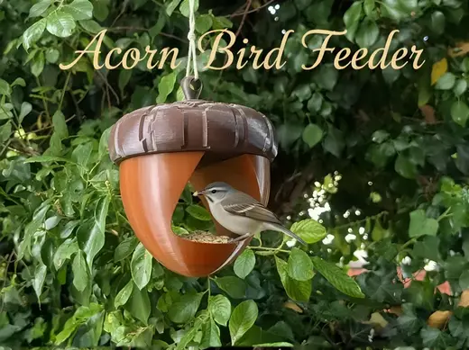 Acorn Bird Feeder