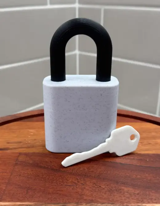 Fully Printed Lock (6 Pin Tumbler)