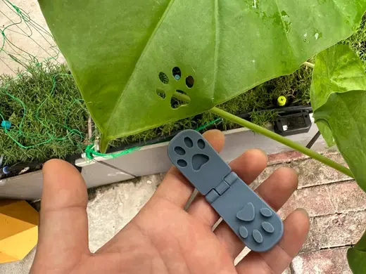 树叶印章 动物爪印