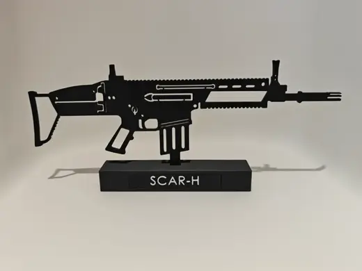 SCAR-H 2D Model