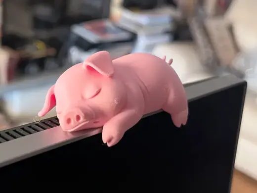 sleepy pig monitor-pet