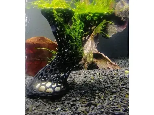 鱼缸水草支撑