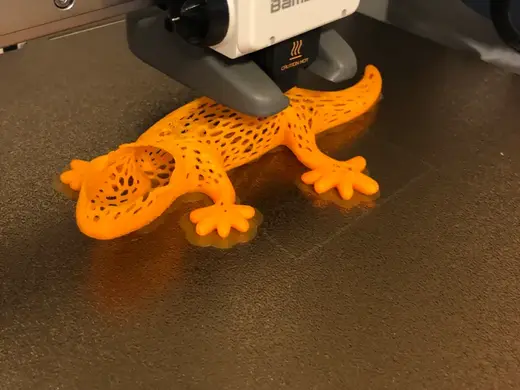Lucky Geko