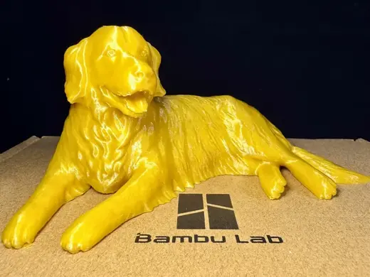 卧姿金毛犬(细腻毛发纹理)