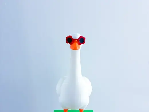 Flower Sunglasses Desk Goose Gear