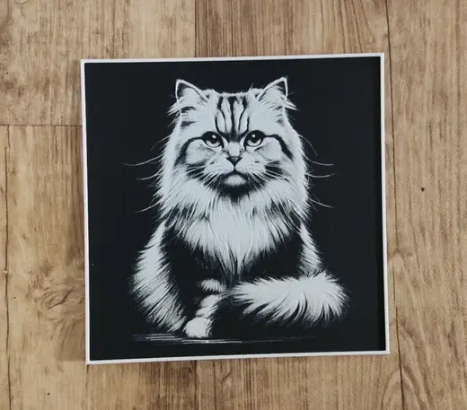 Cat hueforge
