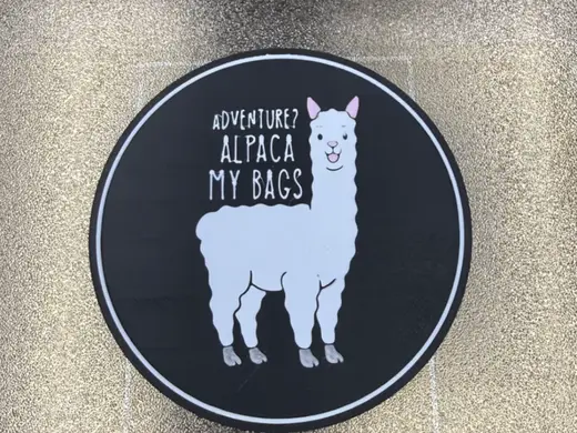 ADVENTURE? ALPACA MY BAGS COASTER