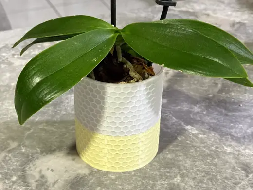 Simple Hex Planter