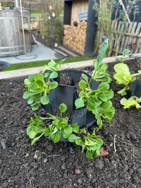 growtower, planttower, tower plant, planter