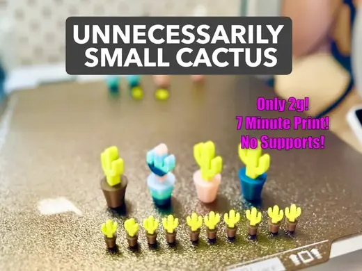 Unnecessarily Small Cactus – and Some Bigger Ones!
