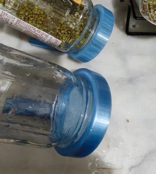 寬口 梅森瓶 豆芽菜发芽器 孔2.5MM 适用大种子 可直接排水倒放 免支撑 mason
