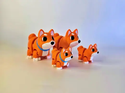 Cute Shiba Inu
