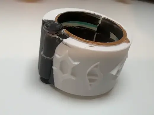 The Omni ring from Pokemon champions