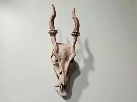 Muntjac Skull Wall Hang