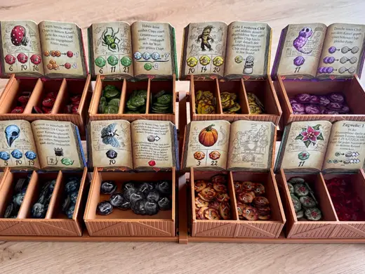 Quacks of Quedlinburg Tokenrack board game storage