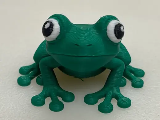 Fun Little Frog
