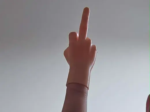 Middle Finger for Your Middle Finger