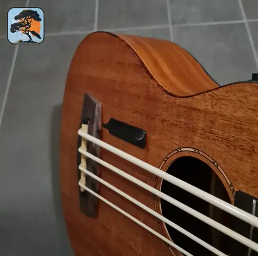 Bass thumb rest