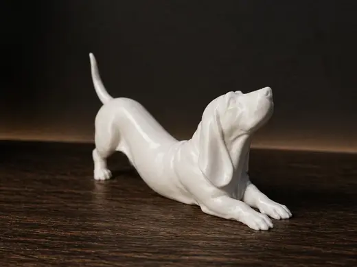 The dog is stretching - Basset Hound - Animal