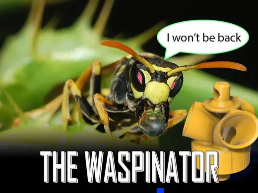 Waspinator: Wasp Trap with Multi-Funnel Design