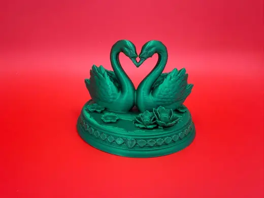 Swan heart