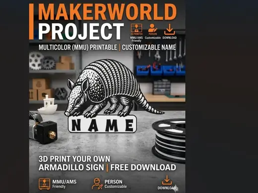 Cartel Artístico de Armadillo Personalizable