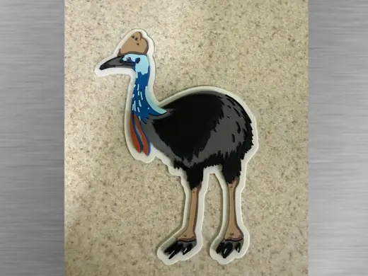 Cassowary -Exotic Animal Cutout