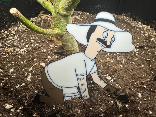 Burger Dad Gardening Plant Decoration