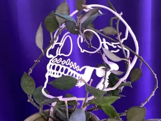 Halloween Skull Plant Trellis
