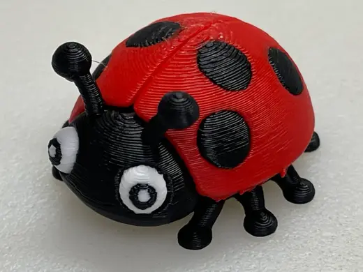 Fun little Ladybug