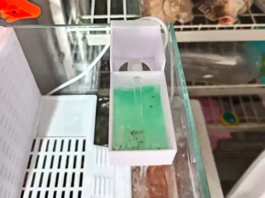 鱼缸/龟缸两用迷你滴滤过滤